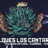 Pulques Los Cantaros