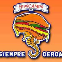 Tortas Locas Hipocampo