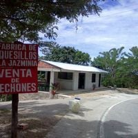 Quesillos La Jazminia