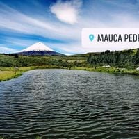 Mauca Pedregal