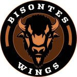 Bisontes Wings