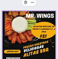 Mr. Wings