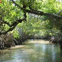 Loncheria DoÑa Lety, Tecolutla Veracruz